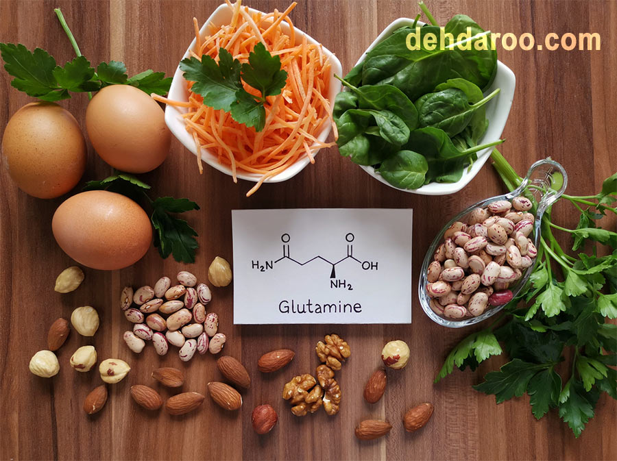 گلوتامین چیست و چگونه کار می کند