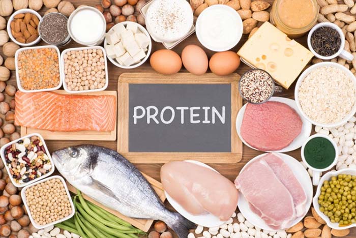 تاثیر پروتئین بر عملکرد بدن