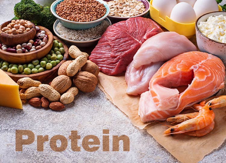 فواید پروتئین در بدنسازی