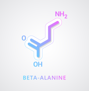 beta alanine 