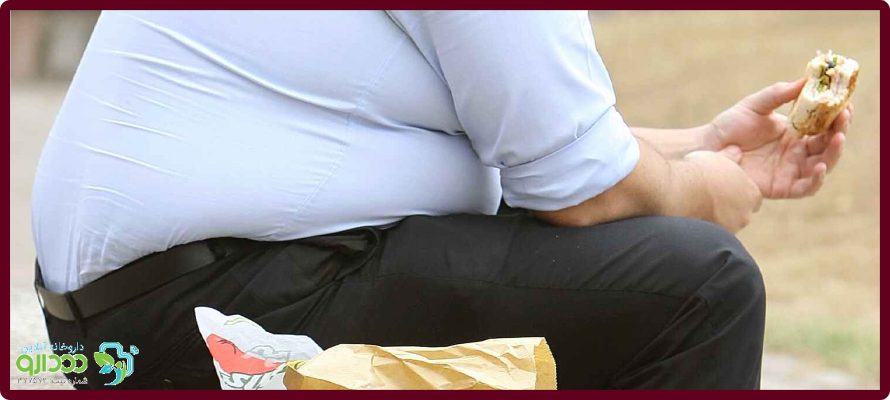 چاقی بر اثر مصرف فست فود