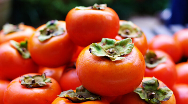 فواید میوه‌ های پاییزی