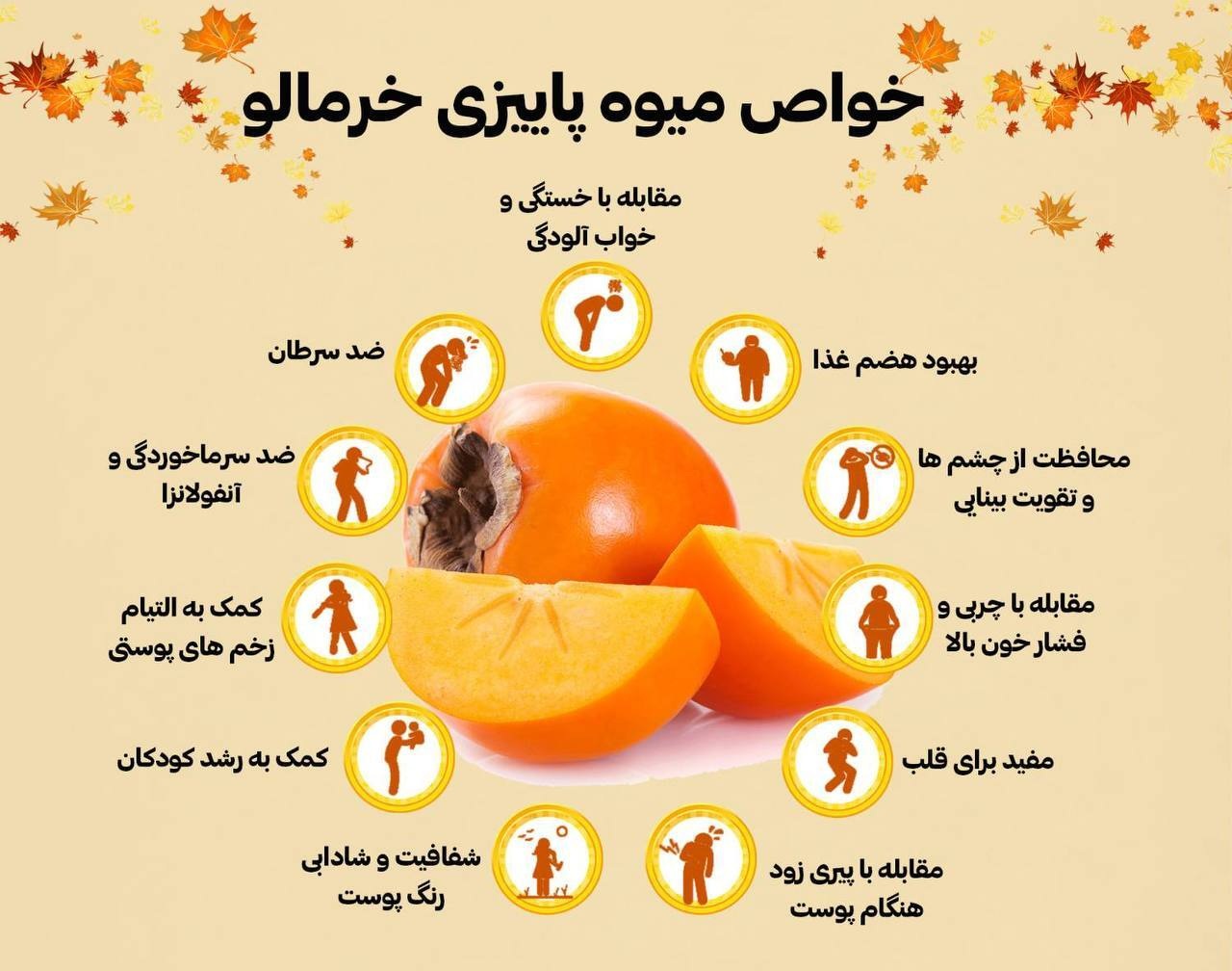 فواید میوه های پاییزی