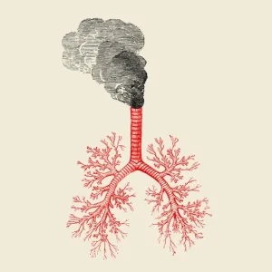 مضرات آلودگی هوا