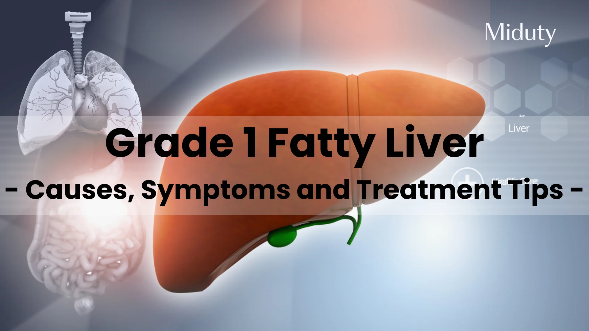 کبد چرب گرید 1